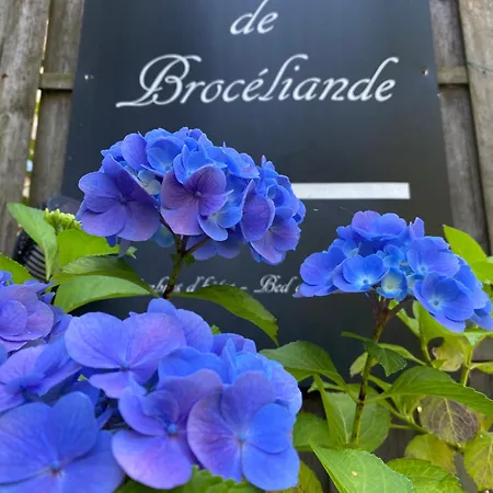 L'Hotie De Broceliande, Au Coeur Des Sites Naturels Et Legendaires Paimpont Exterior photo