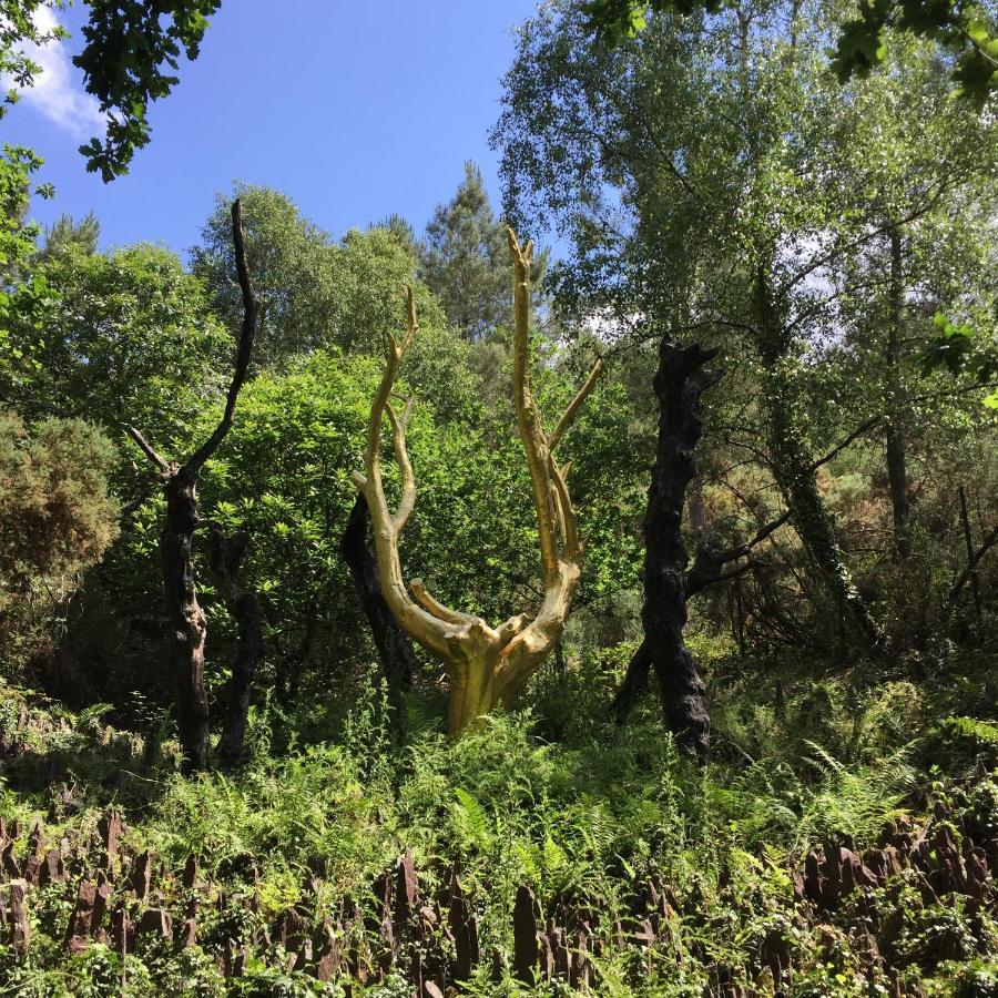 L'hotie De Broceliande, Au Coeur Des Sites Naturels Et Legendaires Paimpont