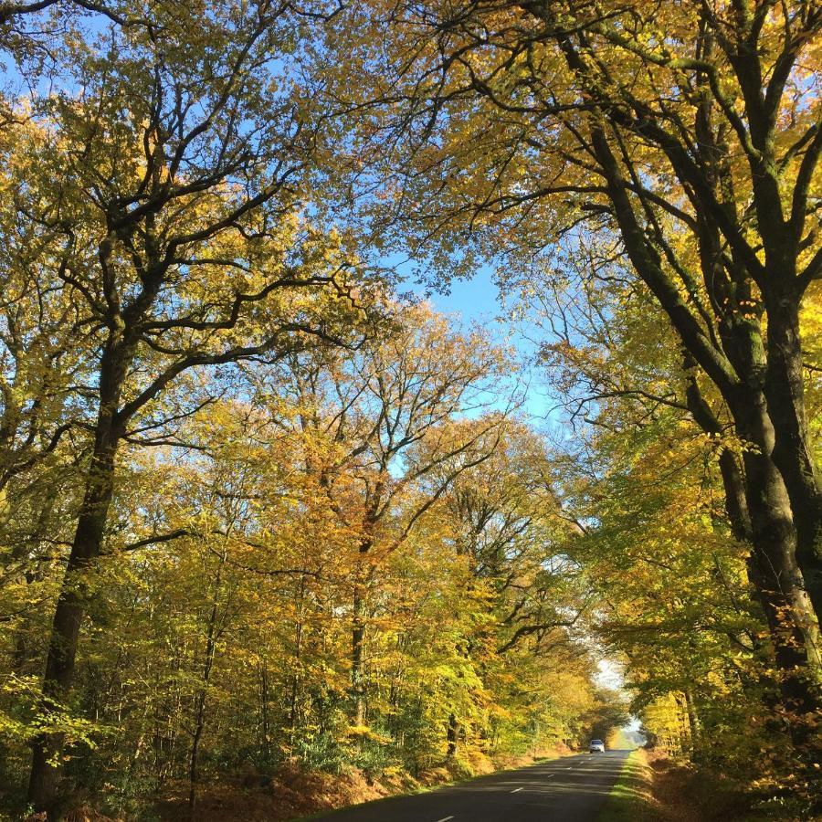 L'hotie De Broceliande, Au Coeur Des Sites Naturels Et Legendaires * Paimpont