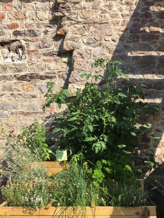 Bed & Breakfast L'hotie De Broceliande, Au Coeur Des Sites Naturels Et Legendaires