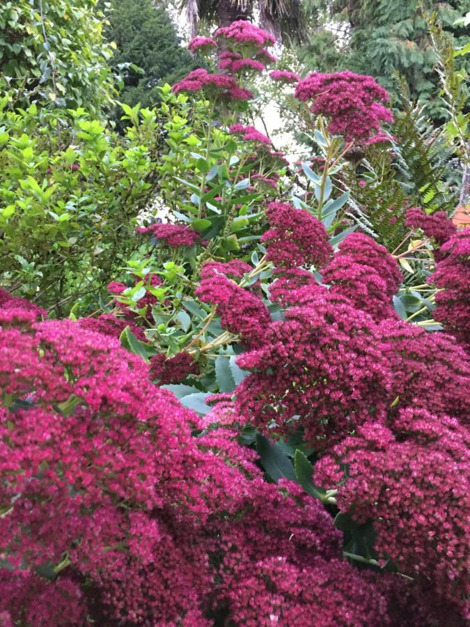 L'hotie De Broceliande, Au Coeur Des Sites Naturels Et Legendaires *