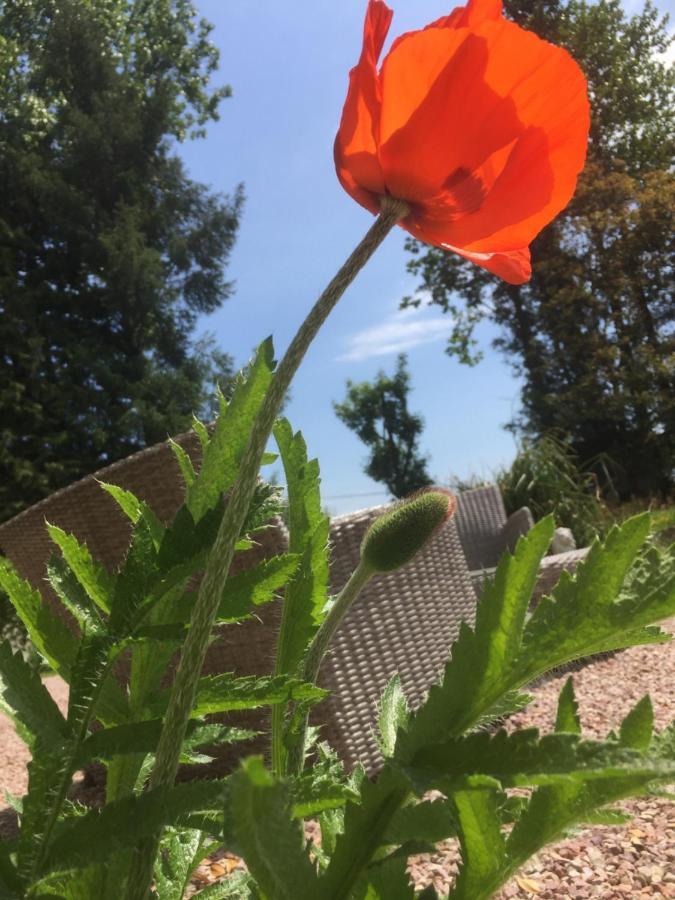 L'hotie De Broceliande, Au Coeur Des Sites Naturels Et Legendaires