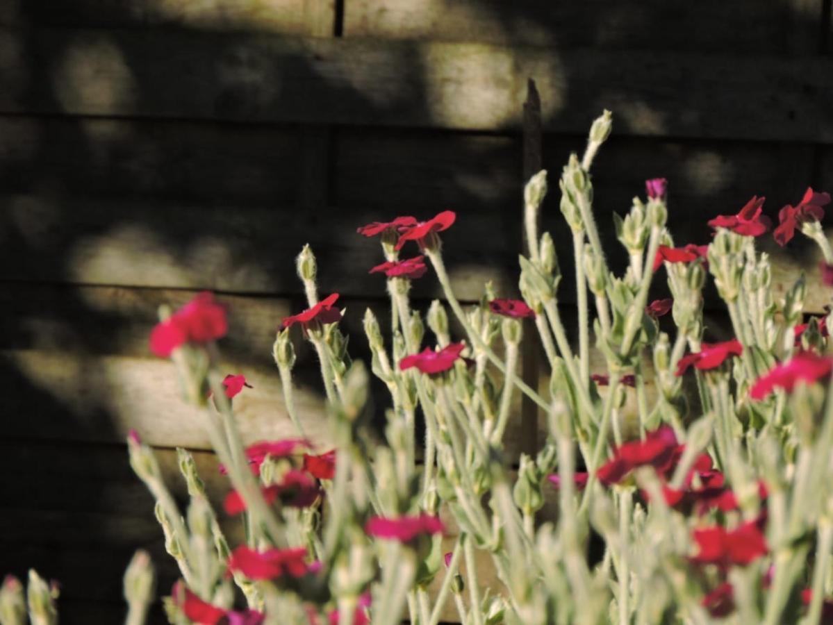 L'hotie De Broceliande, Au Coeur Des Sites Naturels Et Legendaires Bed & Breakfast Paimpont