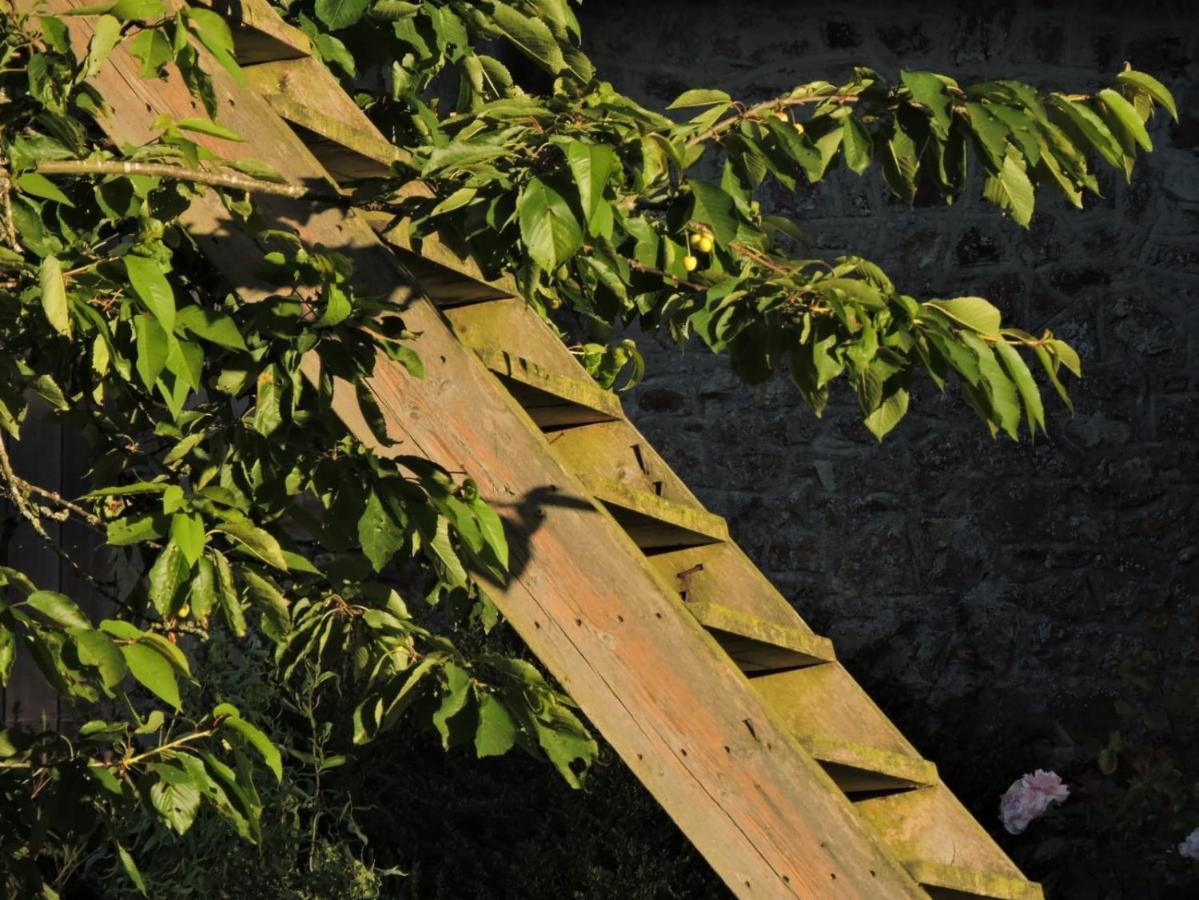 Bed & Breakfast L'hotie De Broceliande, Au Coeur Des Sites Naturels Et Legendaires *