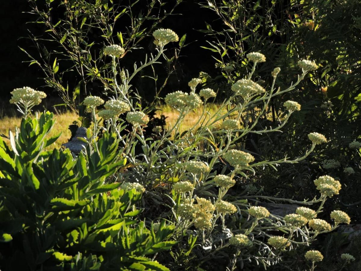 L'hotie De Broceliande, Au Coeur Des Sites Naturels Et Legendaires * Paimpont