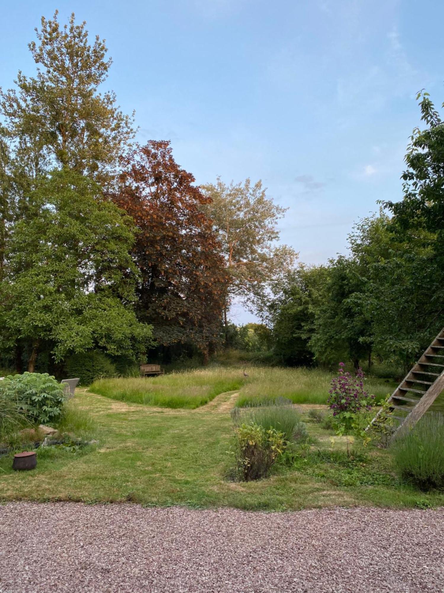 L'hotie De Broceliande, Au Coeur Des Sites Naturels Et Legendaires Bed & Breakfast Paimpont