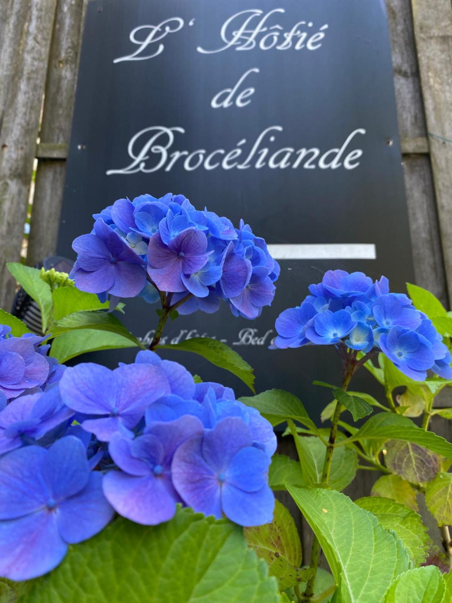 Bed & Breakfast L'hotie De Broceliande, Au Coeur Des Sites Naturels Et Legendaires Paimpont