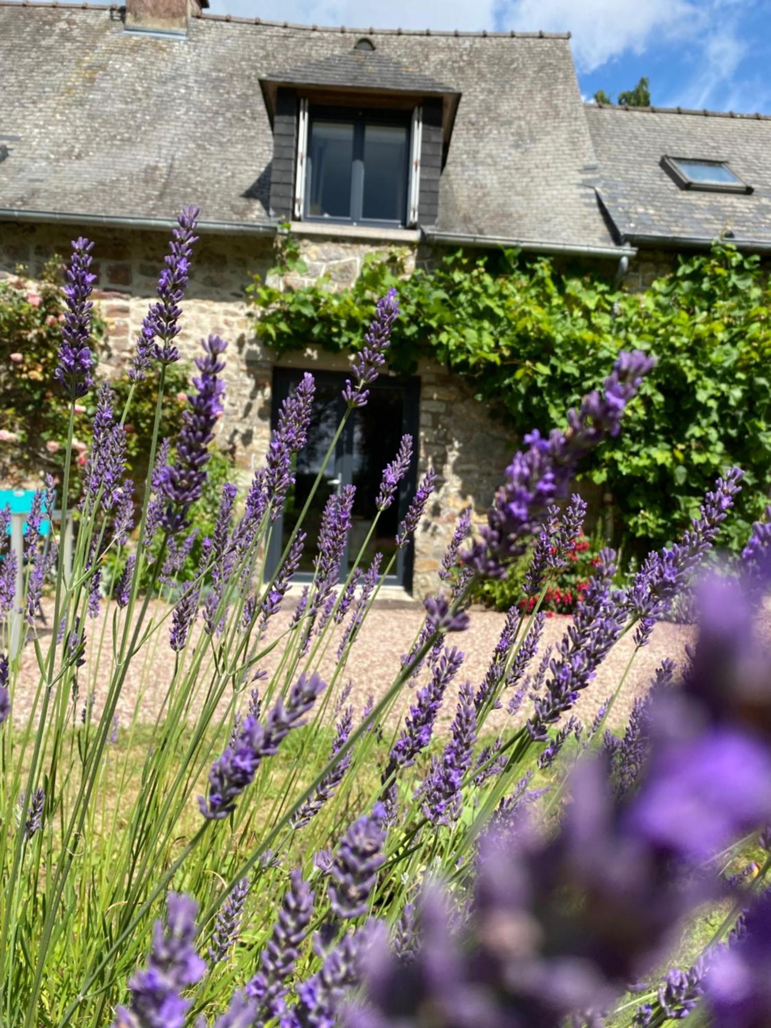L'hotie De Broceliande, Au Coeur Des Sites Naturels Et Legendaires Paimpont