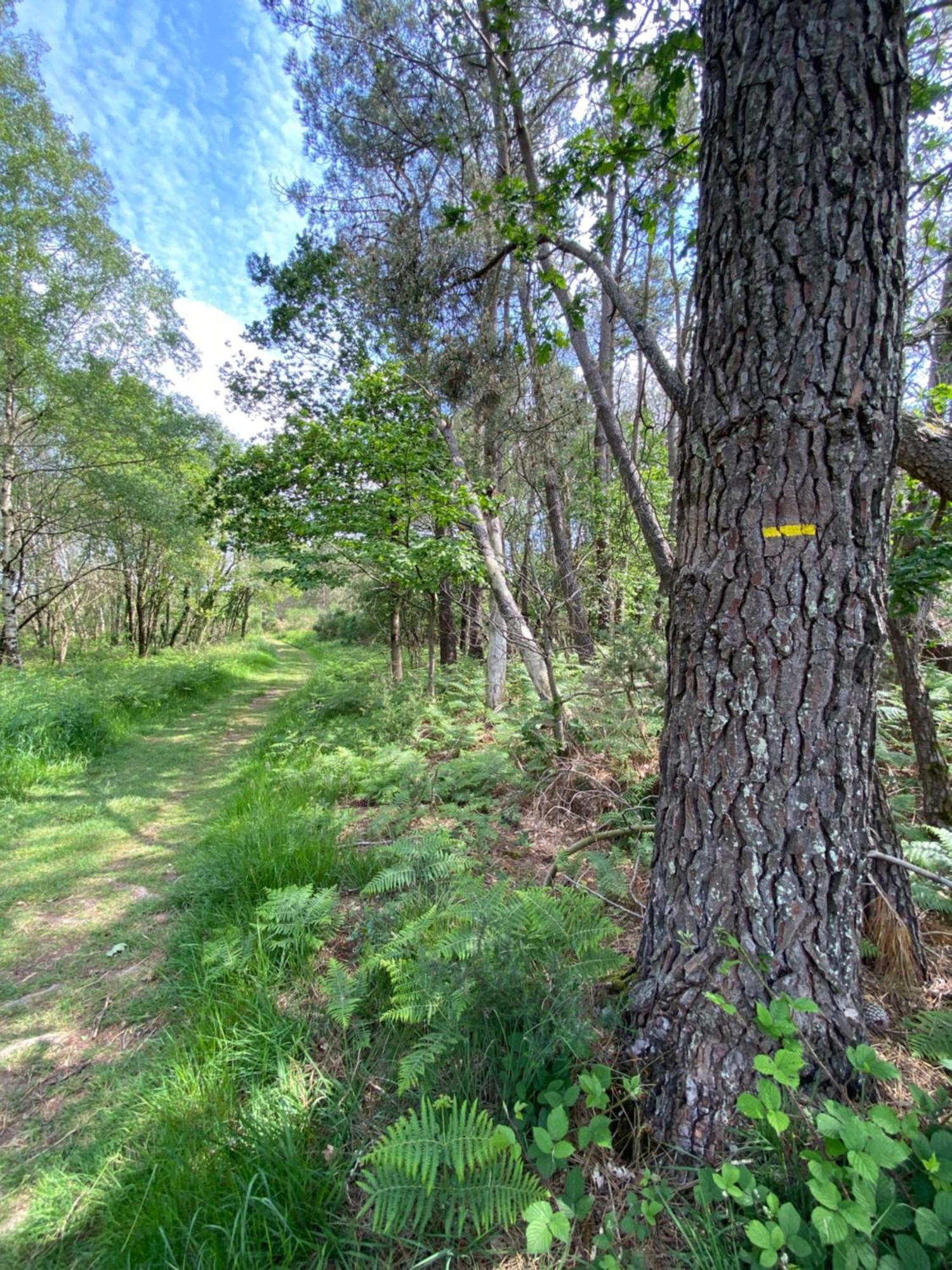 L'hotie De Broceliande, Au Coeur Des Sites Naturels Et Legendaires Bed & Breakfast *