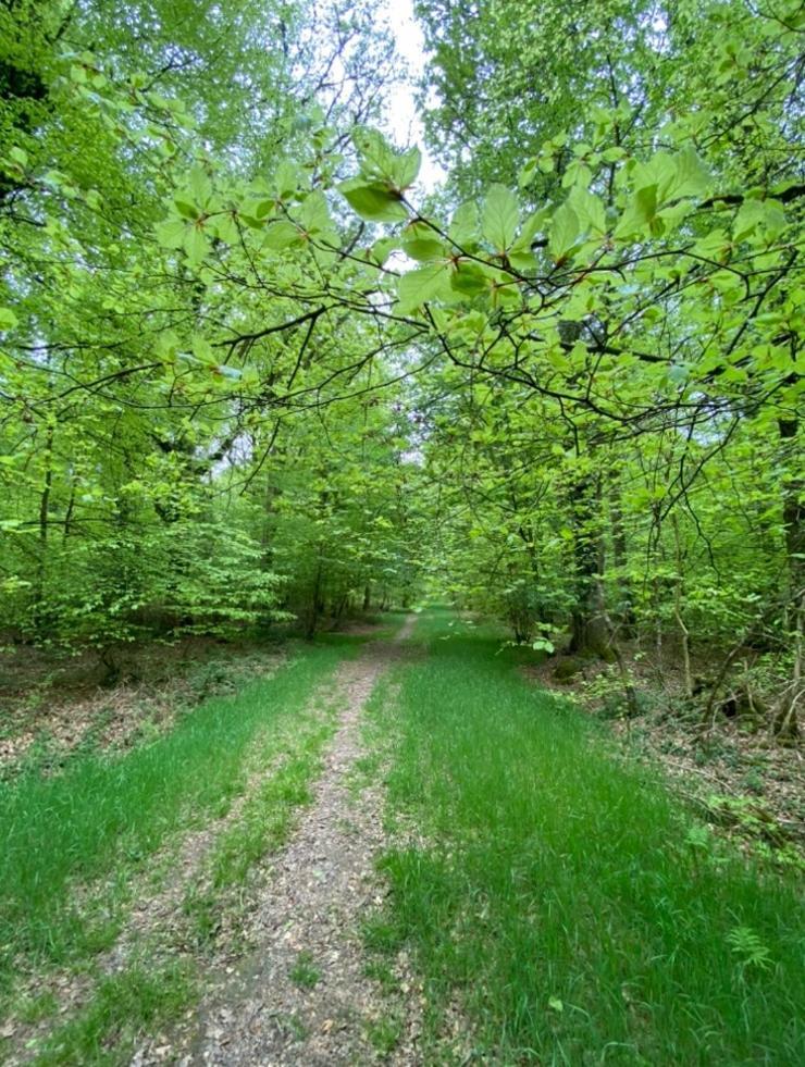 L'hotie De Broceliande, Au Coeur Des Sites Naturels Et Legendaires Bed & Breakfast Paimpont